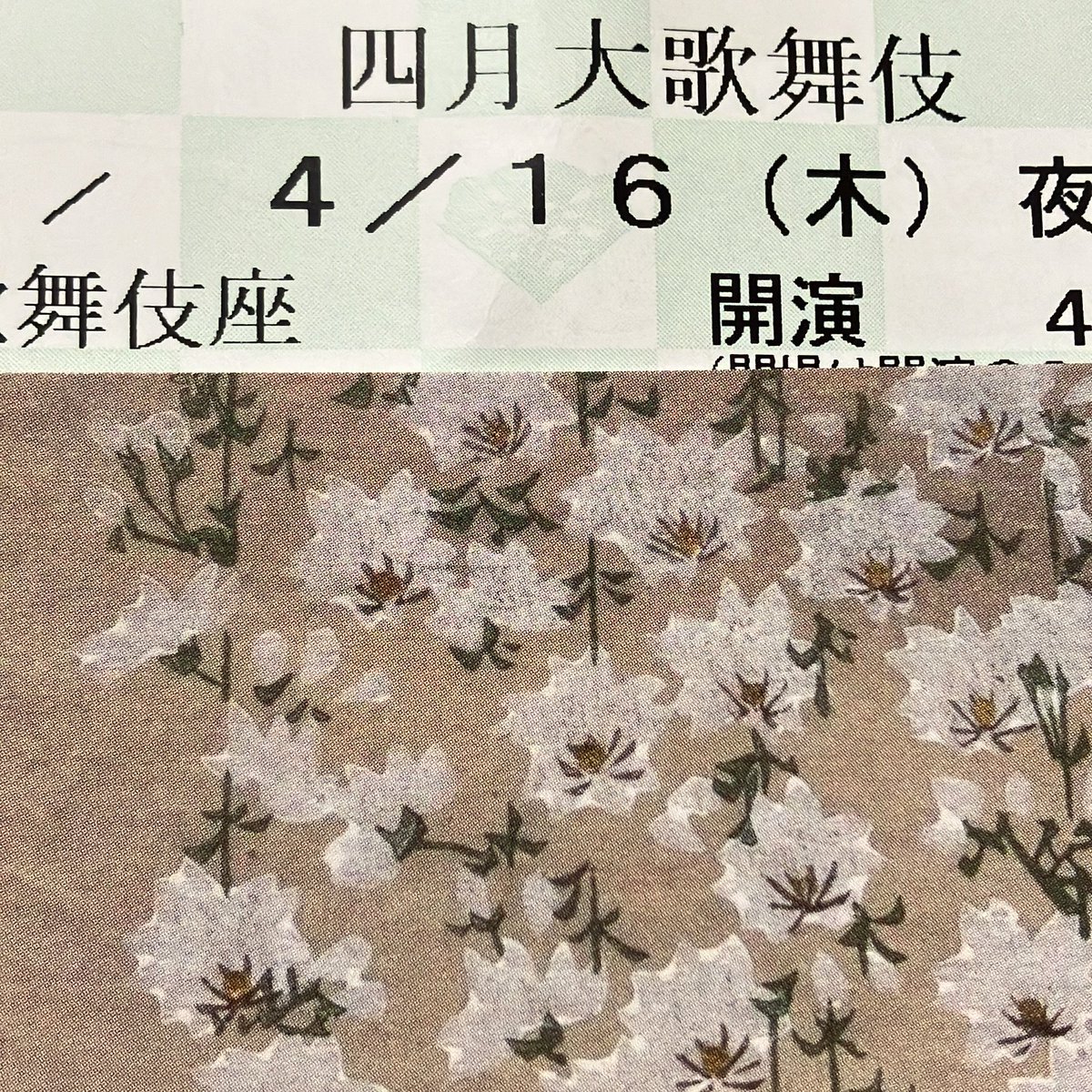 きりんみしん@りのちーず👸🏻🍊inわんだー藍ど tweet media