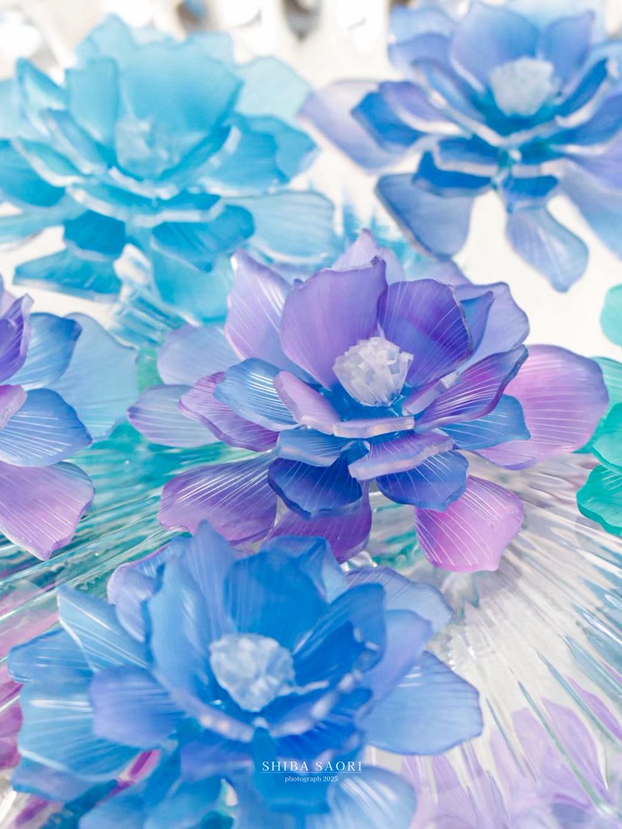 しばさおり tweet media