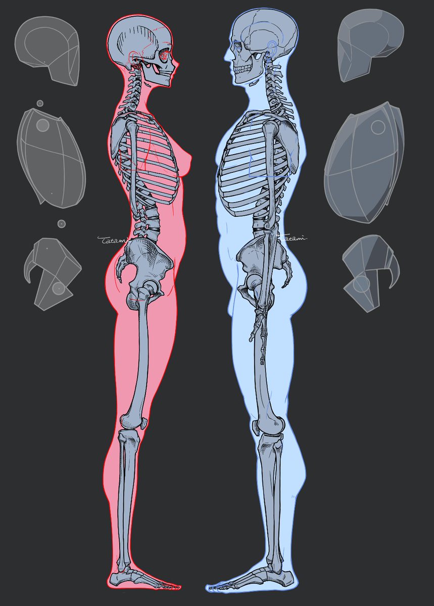 畳@atelier Loop tweet media