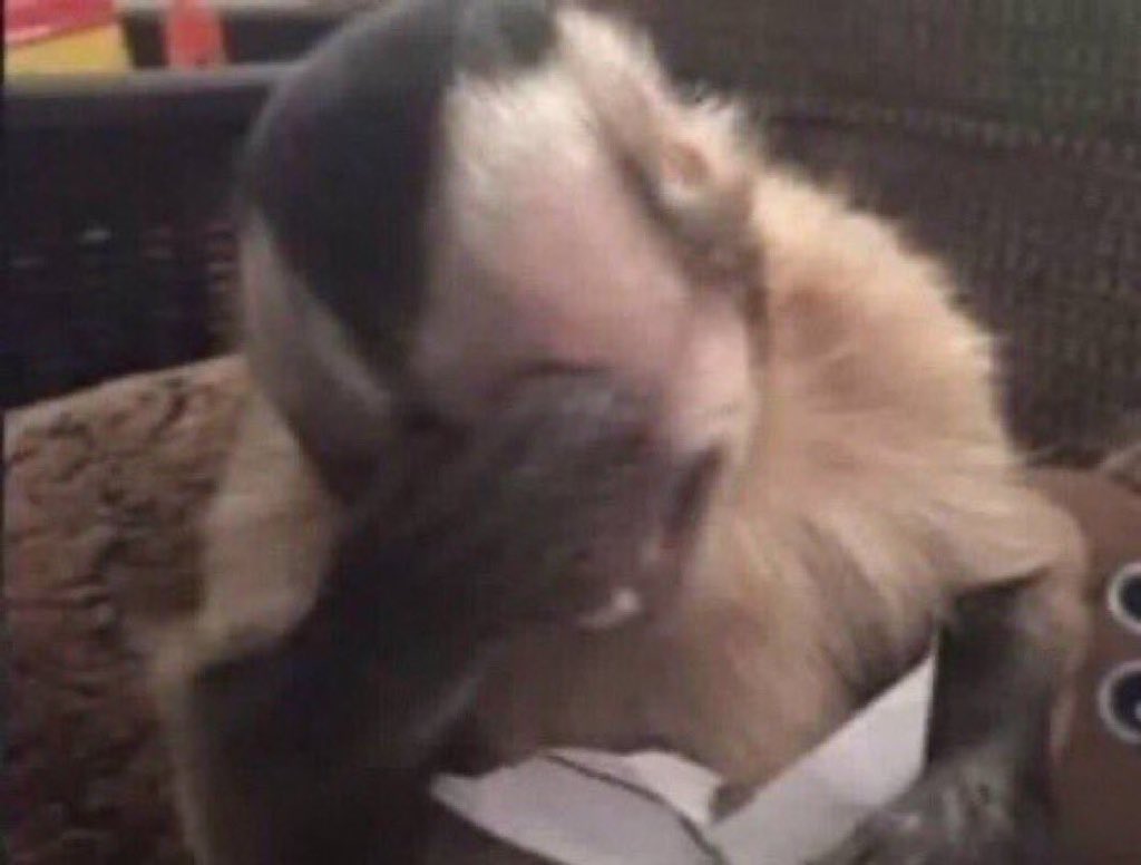 Sir. Lawrence Chidi🍀 tweet media