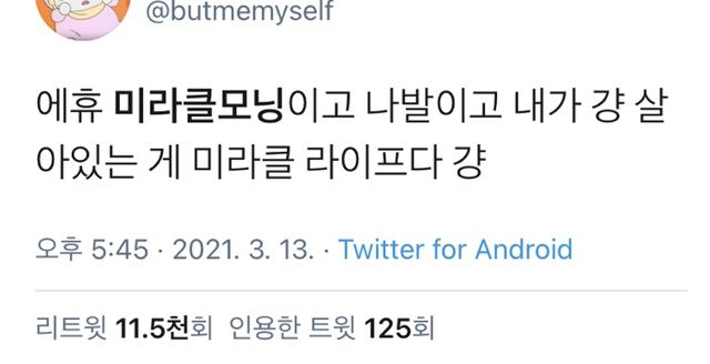 혼자보긴 아까운 트윗 (@honjabogin) on Twitter photo 