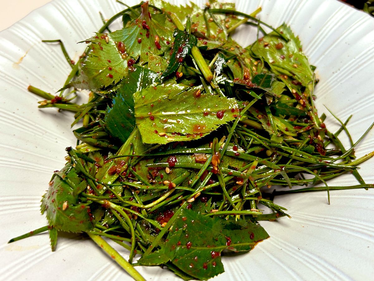 소주사랑김미녀 tweet media