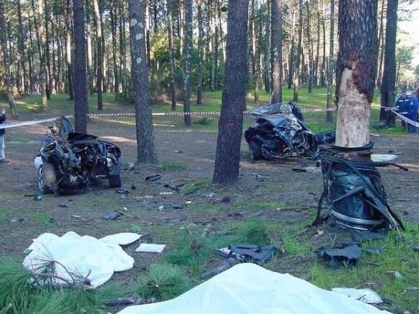 Euromaxxing TMG tweet media