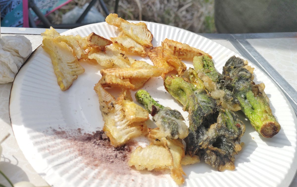 今日採ったタケノコ、ノビル、タラッペ、コゴミをひたすら天ぷらで食す。春は野に山に食べ物が溢れて楽しい♪田舎ってこうした遊びが出来るからたまらない！そしてバーベキューもまた然り。