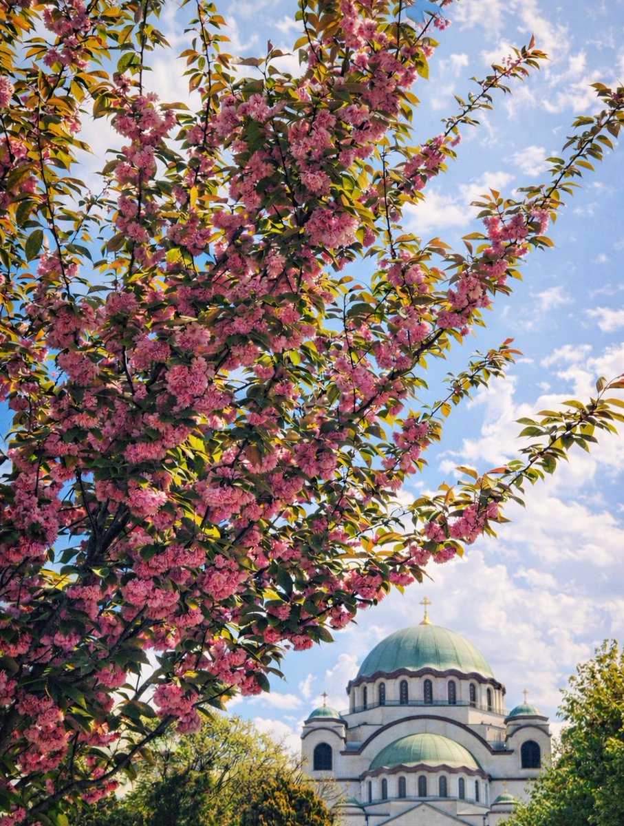 April u Beogradu🩷