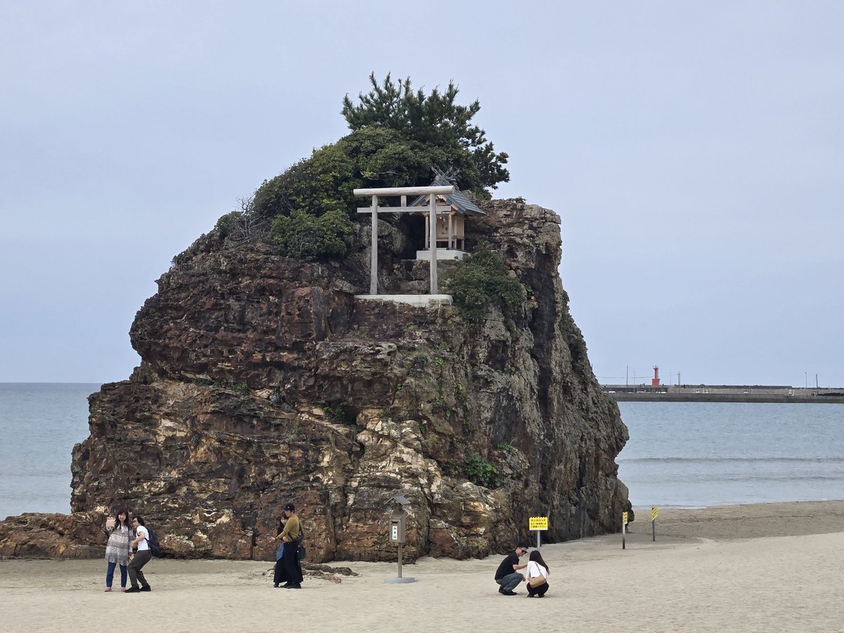 クーヤ tweet media