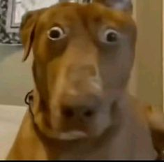 Rin and Seri tweet media