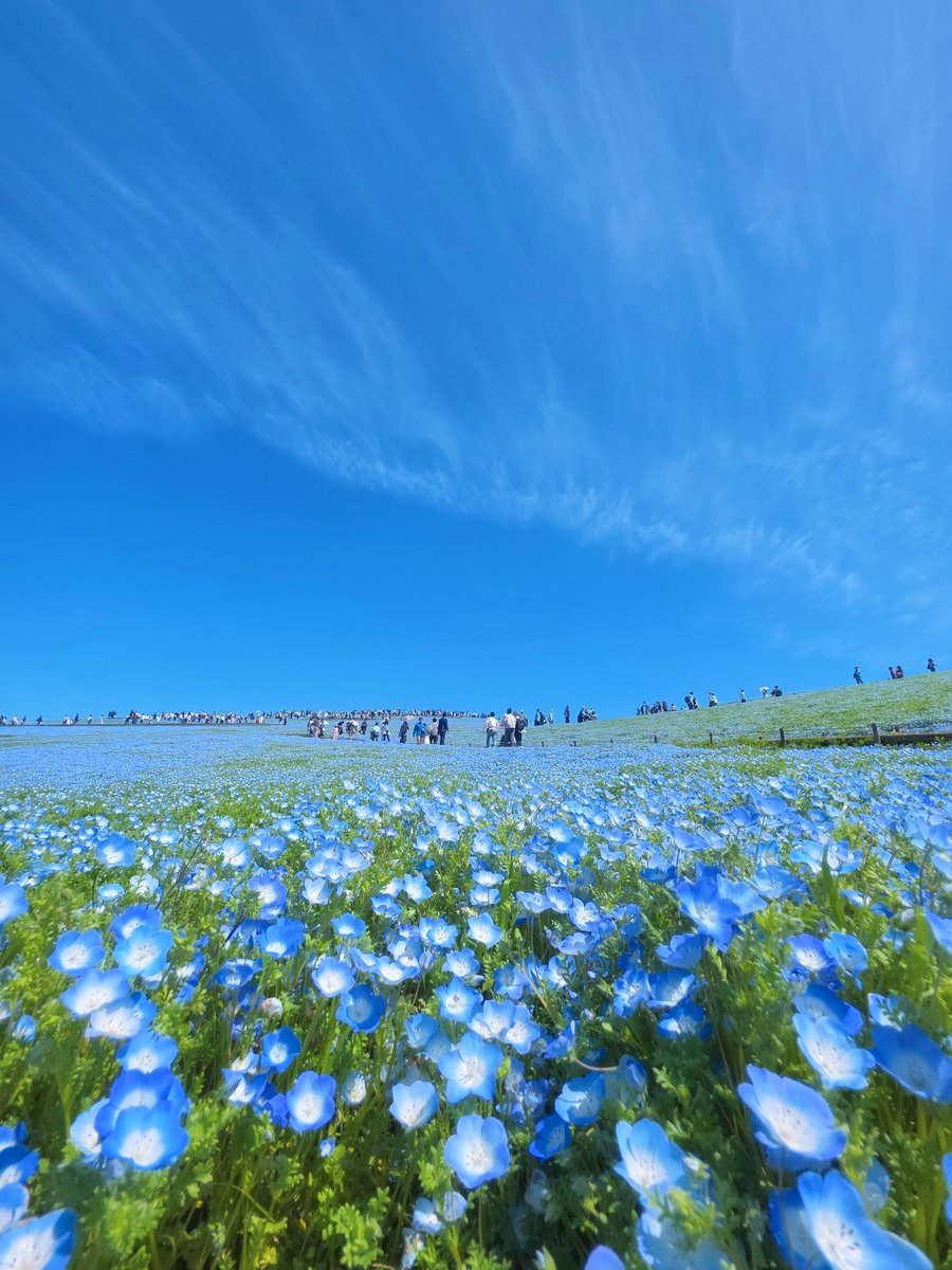 ねあ@photo tweet media