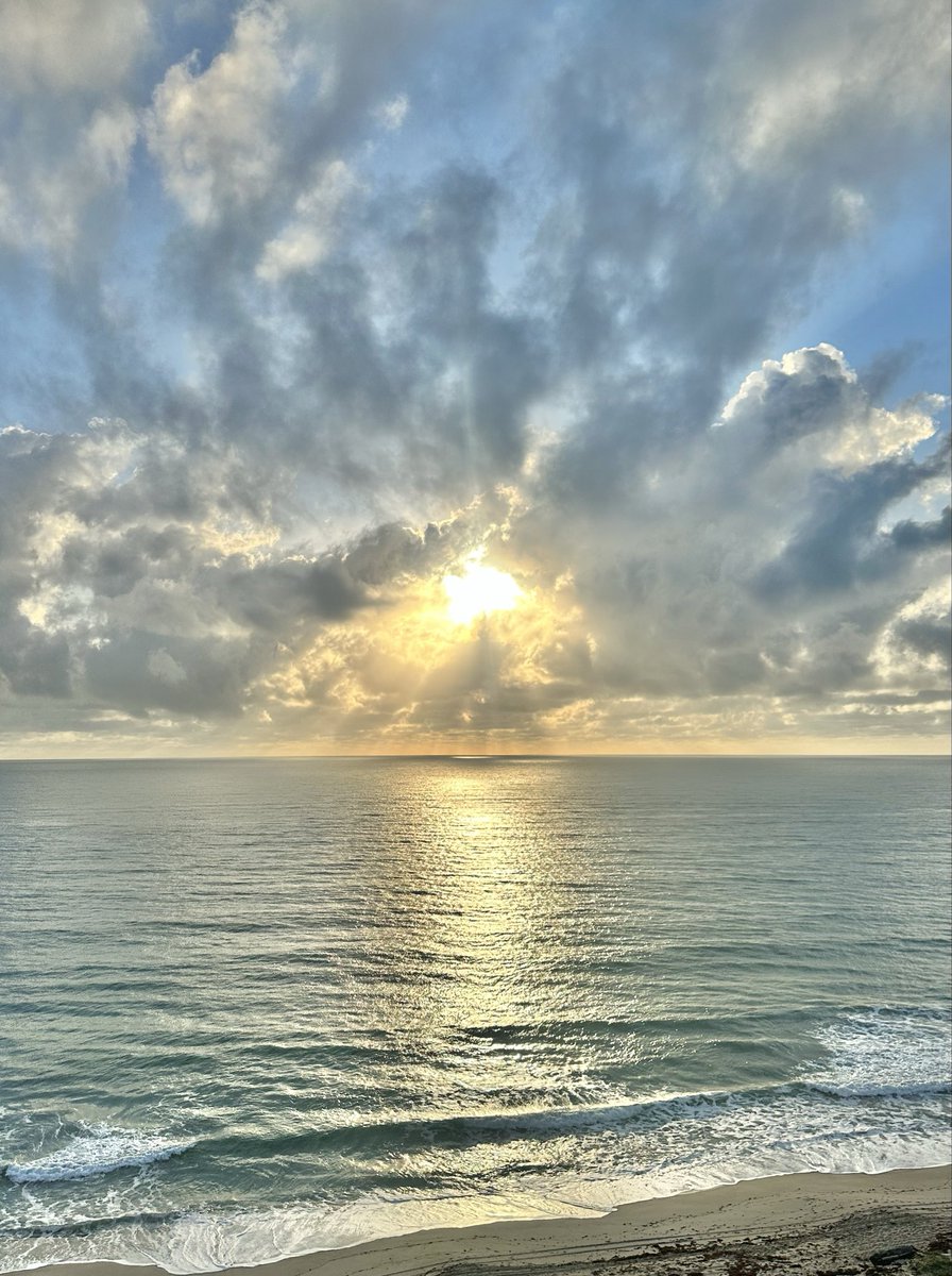 Karen Myatt ☮️ tweet media