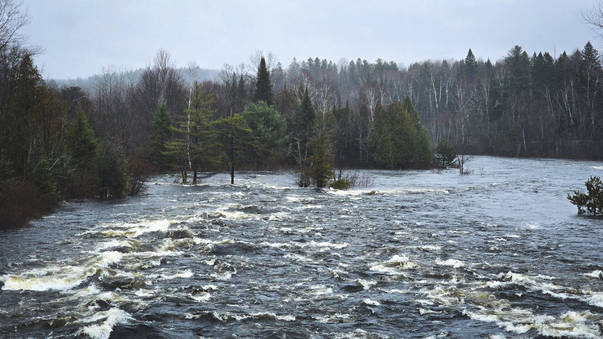 𝚂𝚞 𖠰 tweet media