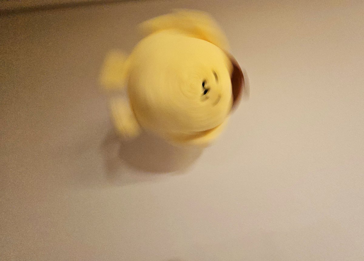 浅井音楽（4/25群馬・高崎で会える） tweet media