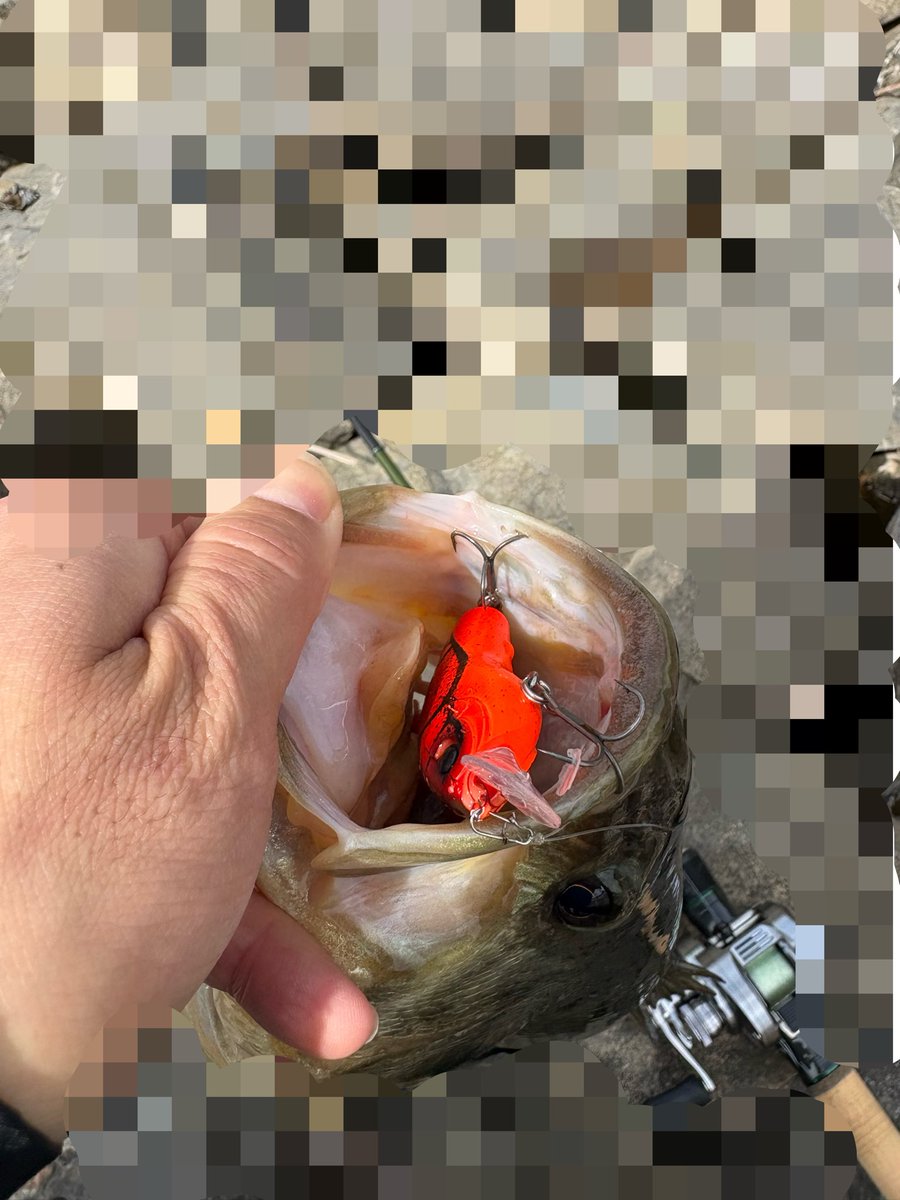 cOaMSavMoZXwe2a's tweet photo. 人多すぎる。

なかなかポイント入れず。
釣りをしていても、めっちゃ近くにエントリーされたり、流している方向にエントリーしてきたり。。。

あたりもあるし、魚も釣れたけど、なんだかゲンナリして短時間で帰宅。 https://t.co/l06i0QwpDN