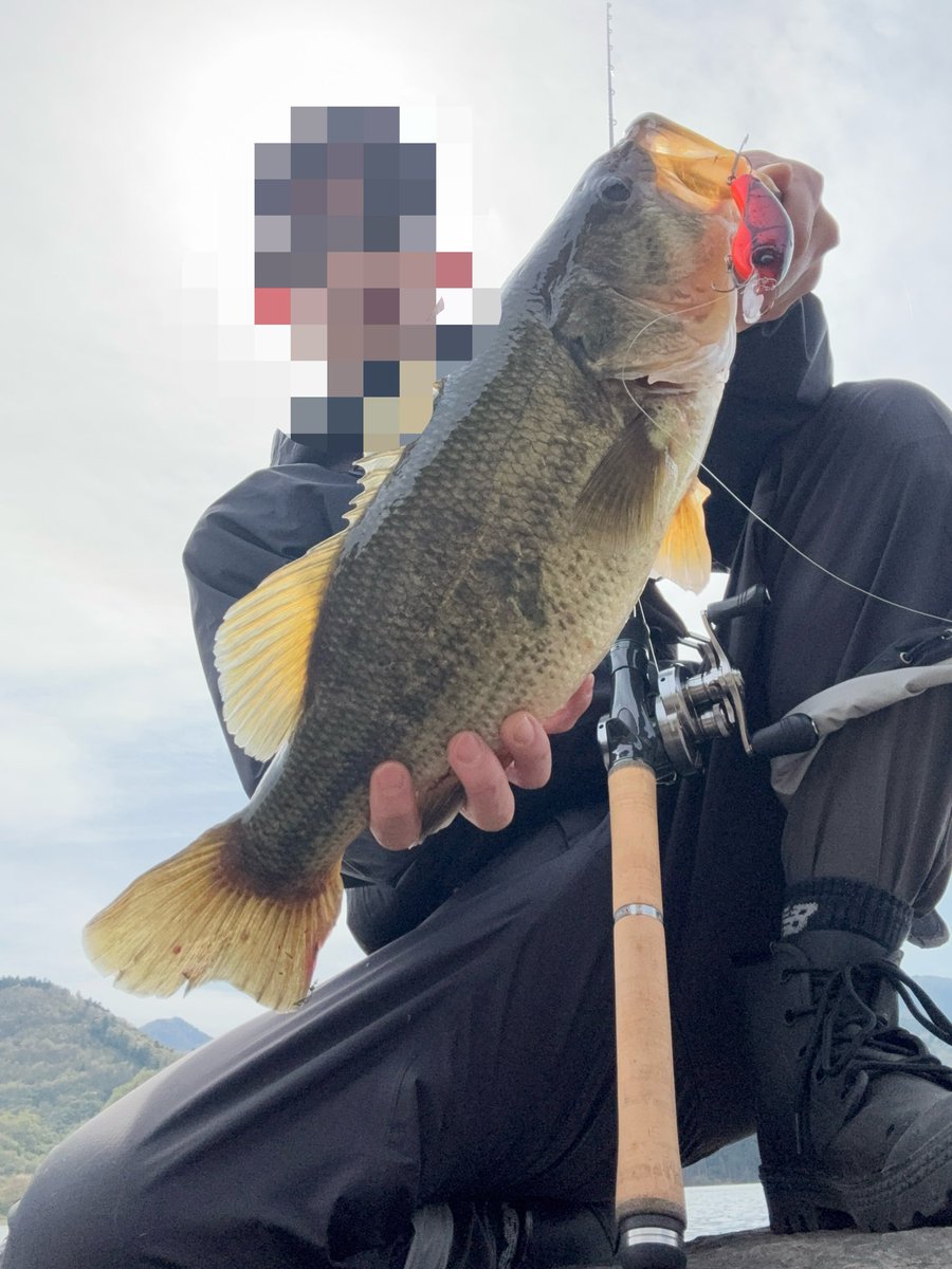 cOaMSavMoZXwe2a's tweet photo. 人多すぎる。

なかなかポイント入れず。
釣りをしていても、めっちゃ近くにエントリーされたり、流している方向にエントリーしてきたり。。。

あたりもあるし、魚も釣れたけど、なんだかゲンナリして短時間で帰宅。 https://t.co/l06i0QwpDN