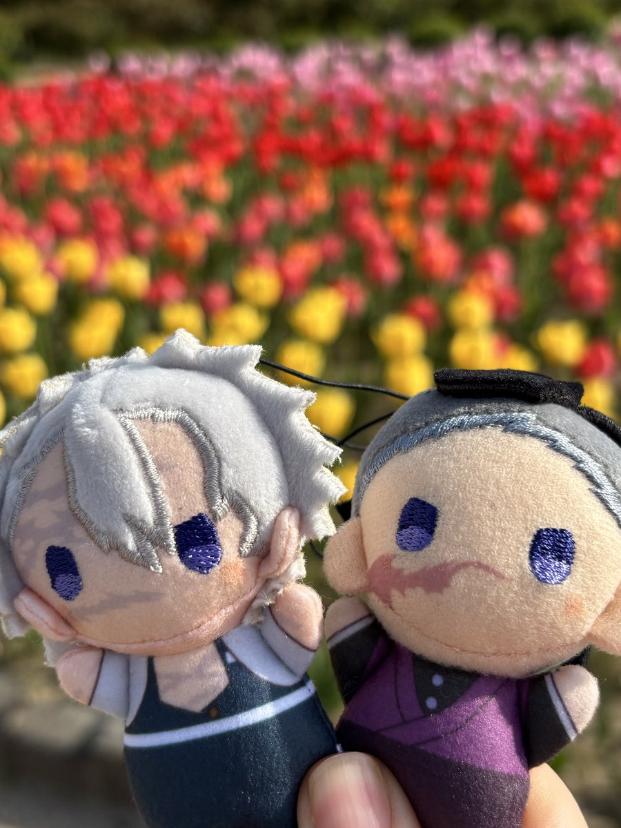 ニコニコ☺️🌷