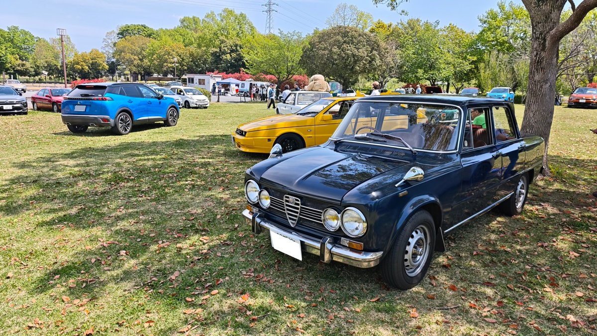 ozzyrow𖤹🐞 tweet media