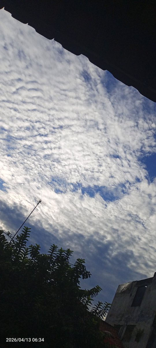 DIASINGKAN tweet media