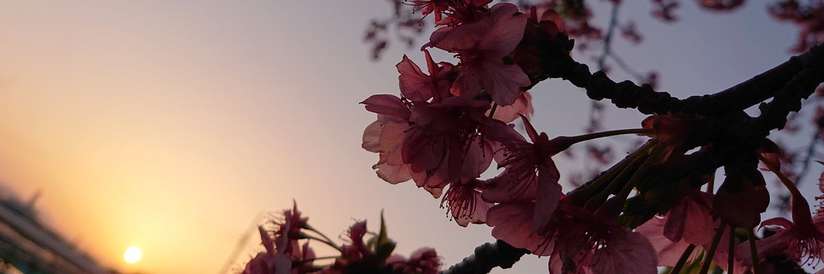 pianississiyo's tweet image. #こんな写真も撮っとーよ 

夕焼けが大好きです…!!!!!

#SONY #Xperia #α7III