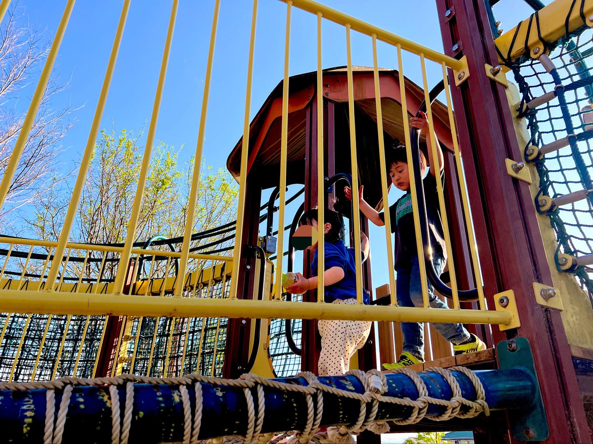 mikiGon 🐶 tweet media