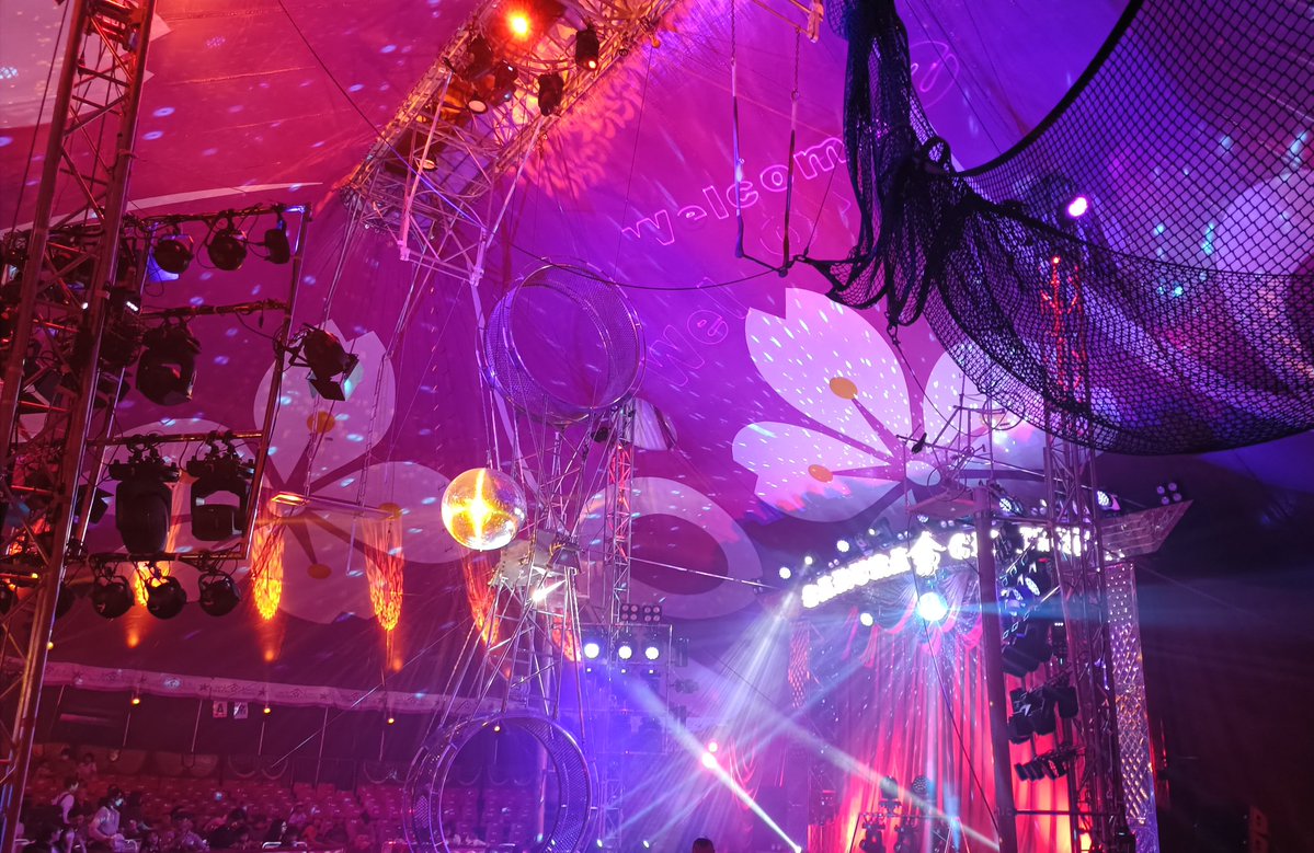 今日観たサーカスめちゃめちゃすごかった。1つ1つのレベルがこれまで観たのと桁違いって感じだった⋯