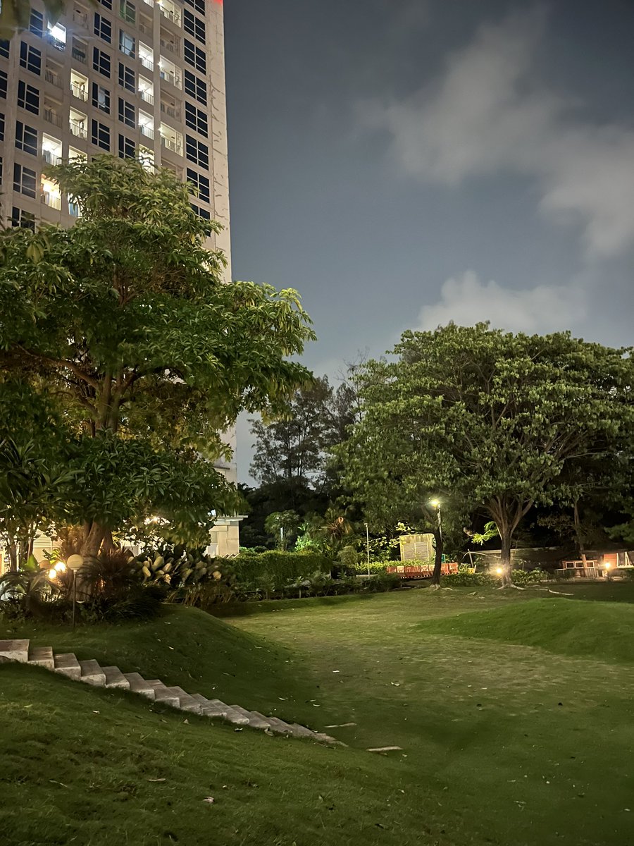 𑣲 bub❗️ tweet media