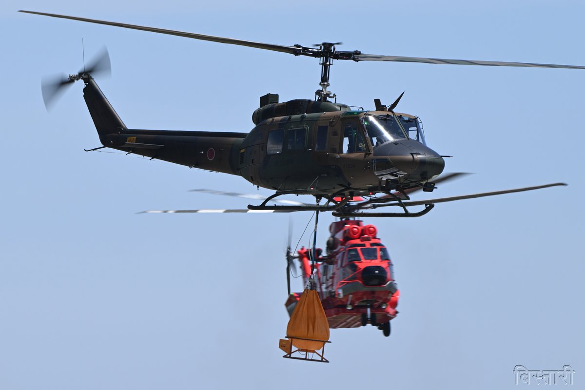 びすた～り tweet media