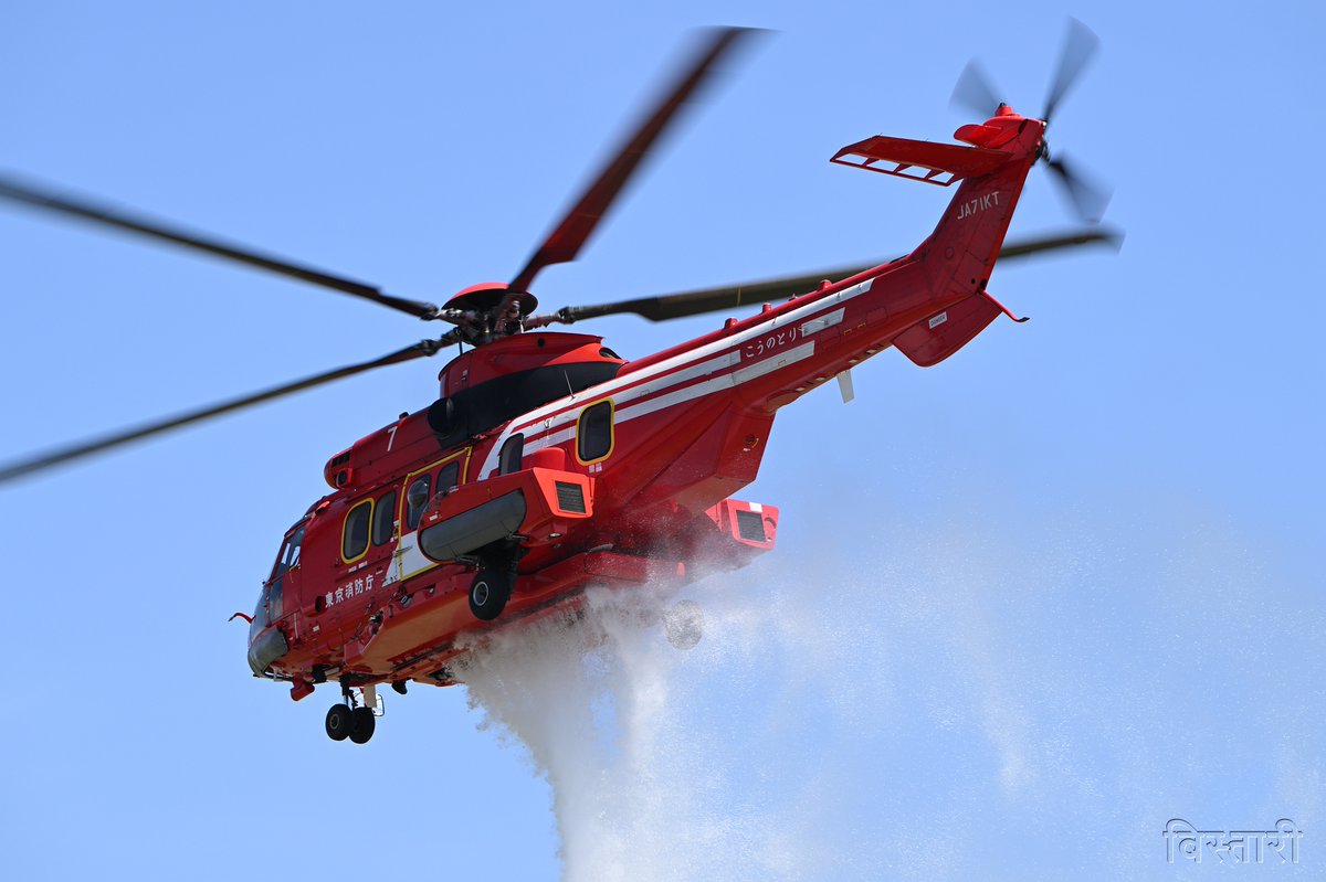 びすた～り tweet media