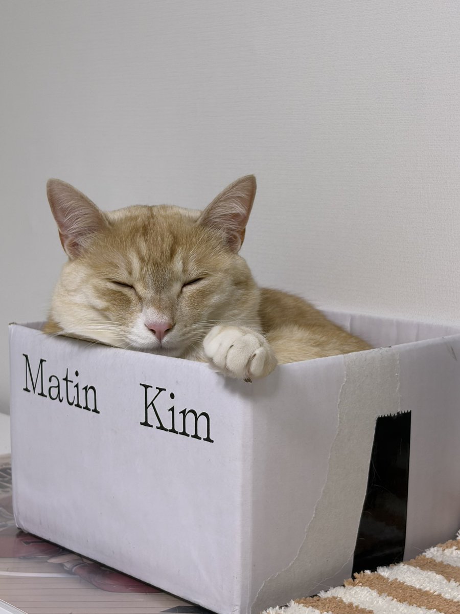 주말에 유독 피곤하신 분