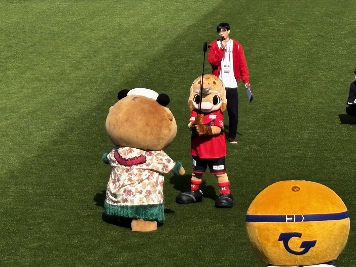 どーもねぇ🌺
きょうは #いわきFC の試合観に行ってきたがんね⚽️ホームタウンのみんなと「だるまさんがころんだ」やったんだっけ〜‼️試合も勝ったし、いがったねぇ😆🤙