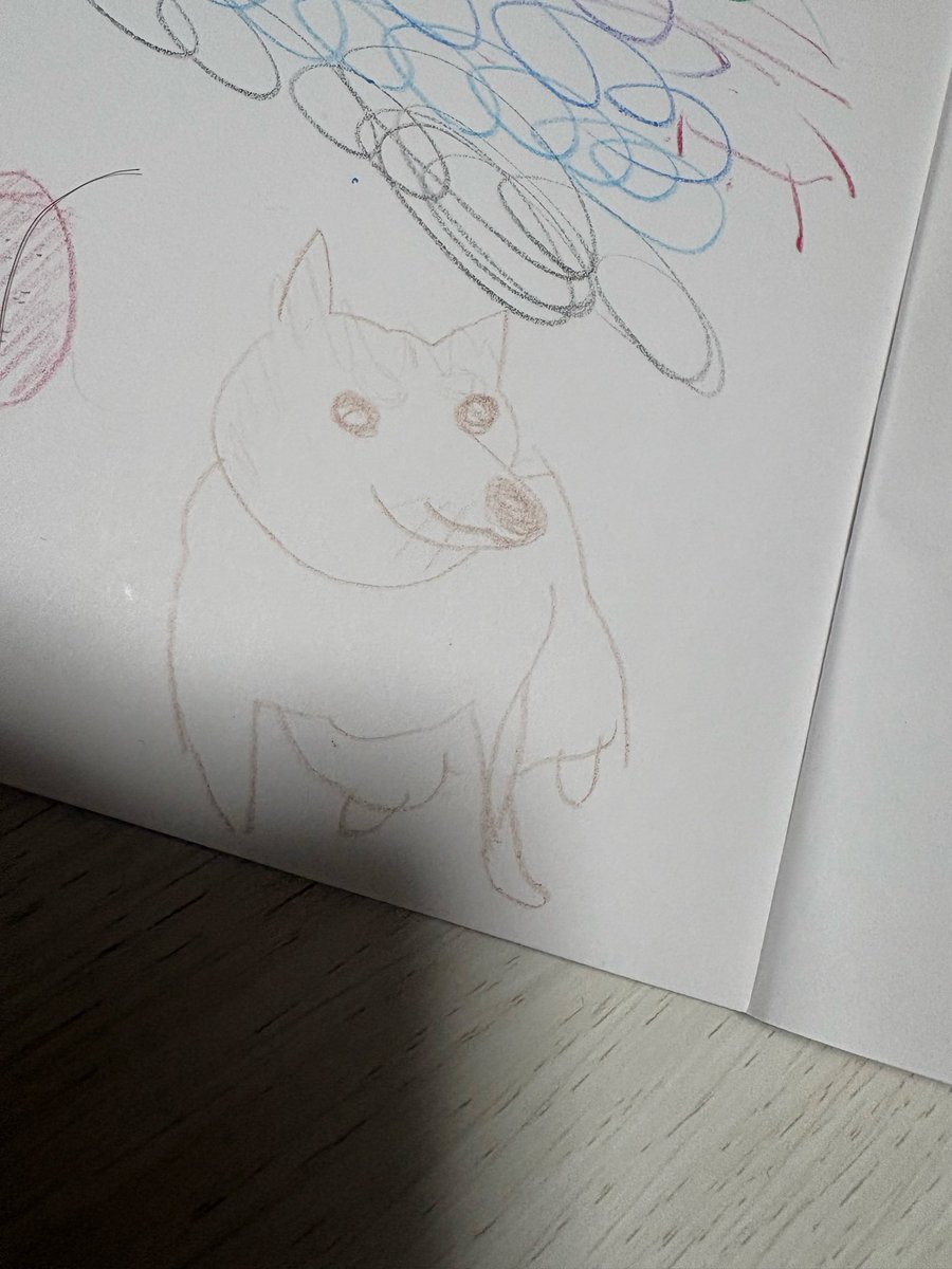 シンママ透明☺︎🎀1y tweet media