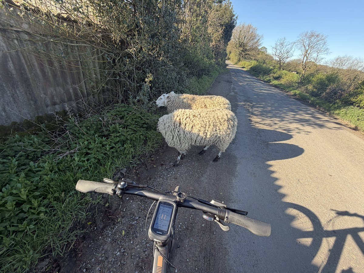 Hubert Er tweet media