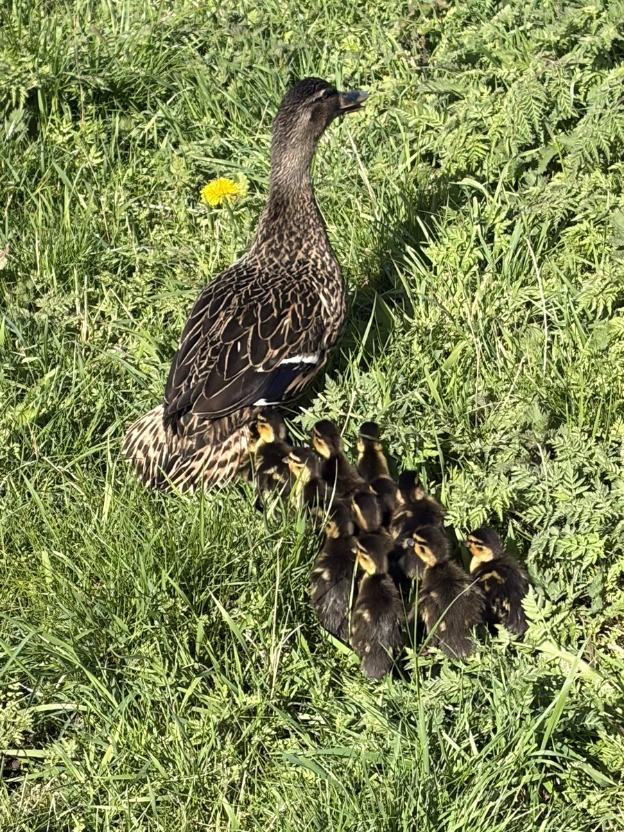 Hubert Er tweet media