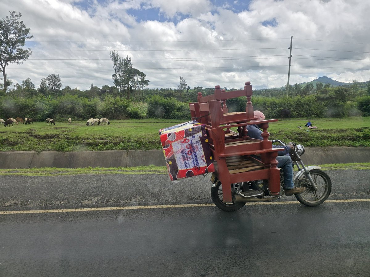 cave_rats's tweet photo. Just another normal day in Africa 🤣 https://t.co/IadNrZYYO2