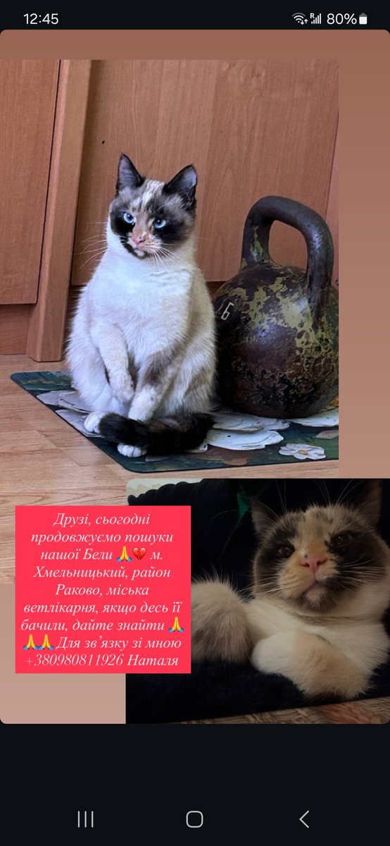 Хмельницький,  ретвіт пліііз🫂🫂🫂