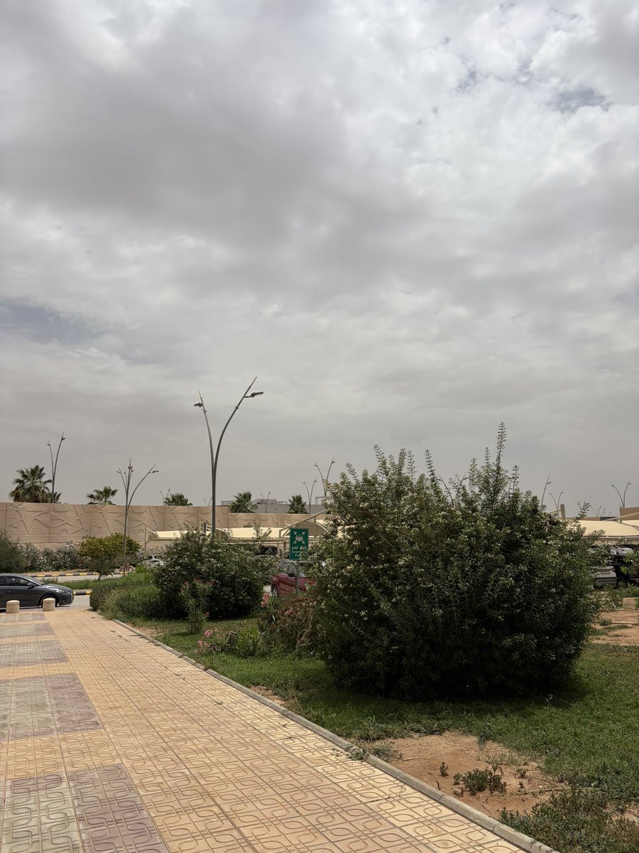 جمانة tweet media