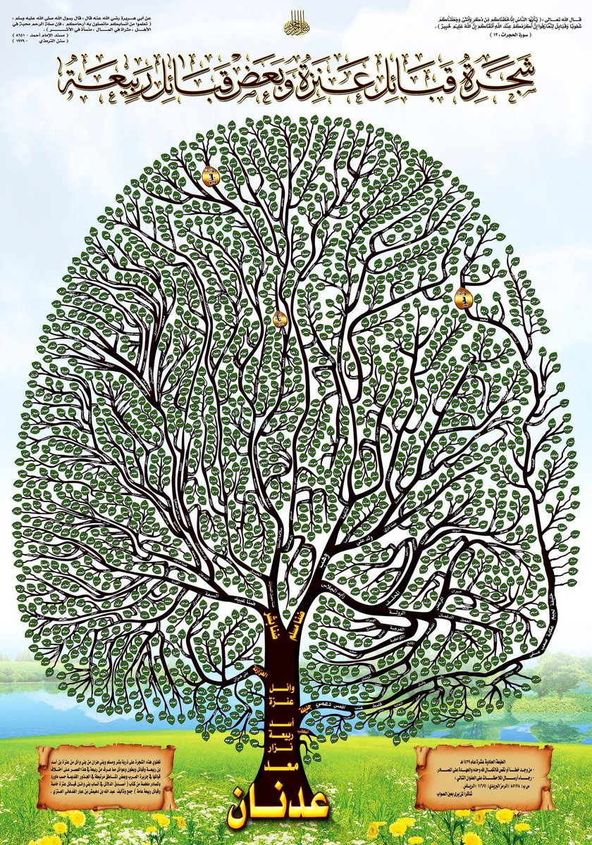 ✍🏻saad502🇸🇦 tweet media