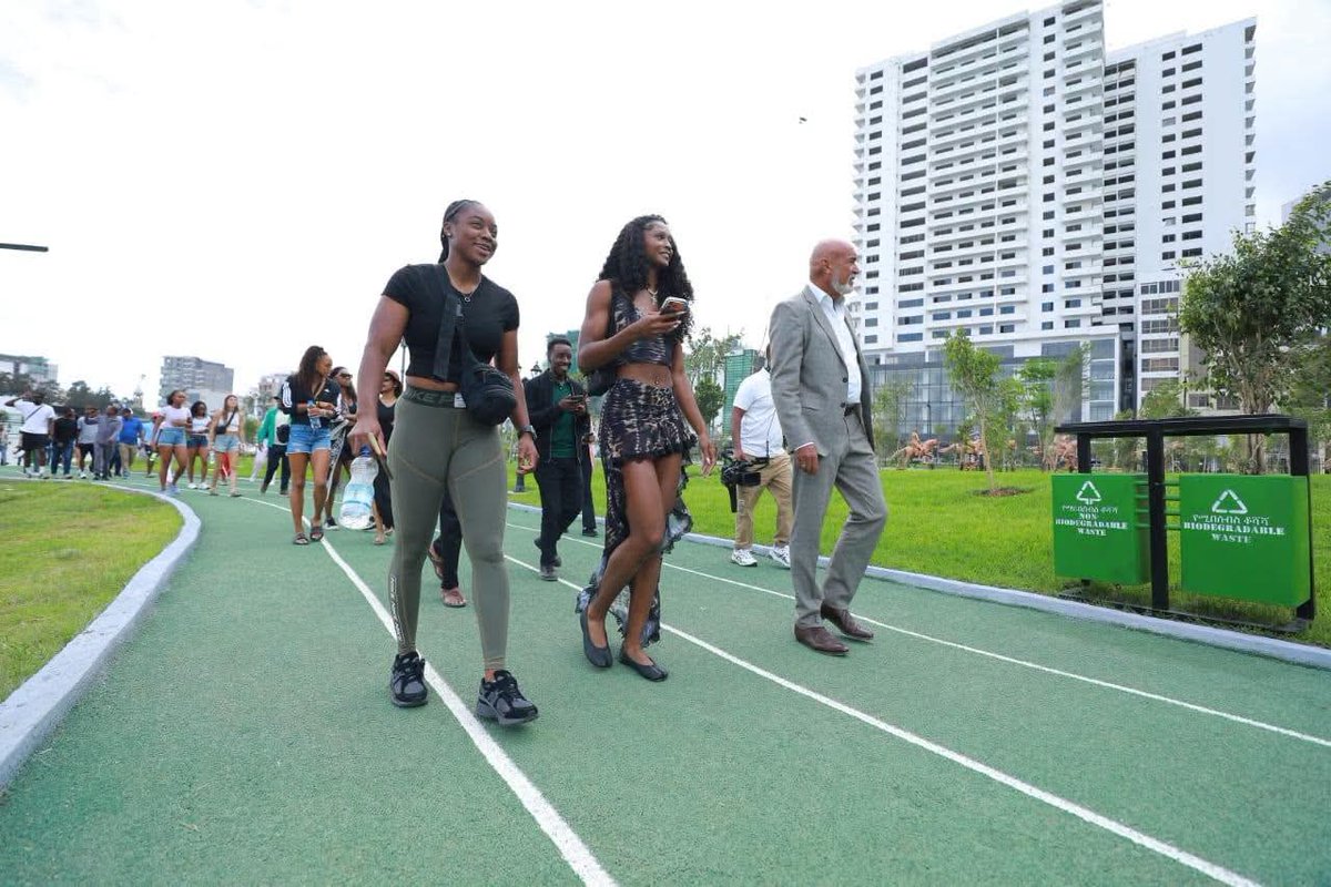 Land of Origins tweet media