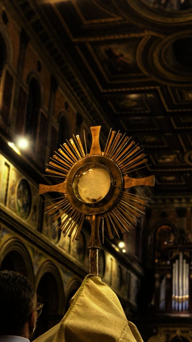 𝚕𝚒𝚝𝚝𝚕𝚎 𝚘𝚗𝚎 ♱🇻🇦 tweet media