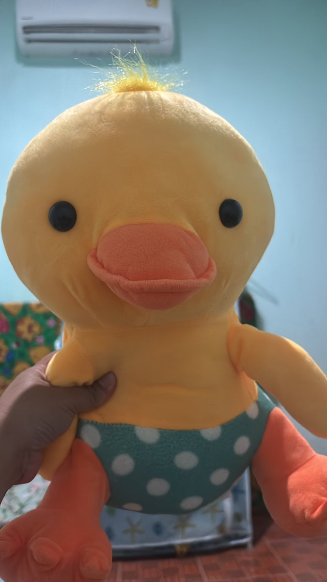 บอบอ tweet media