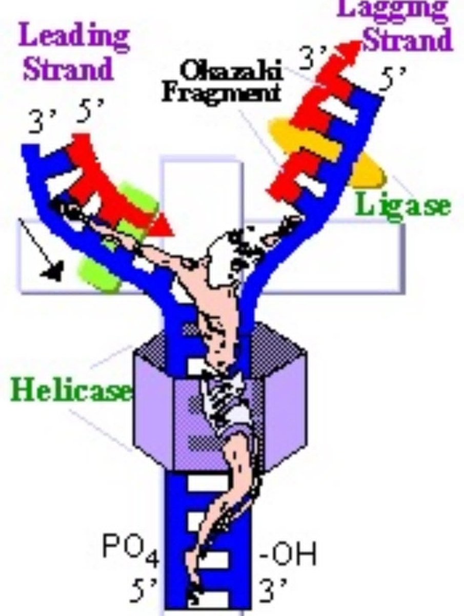 ʇsodɯoɔ tweet media