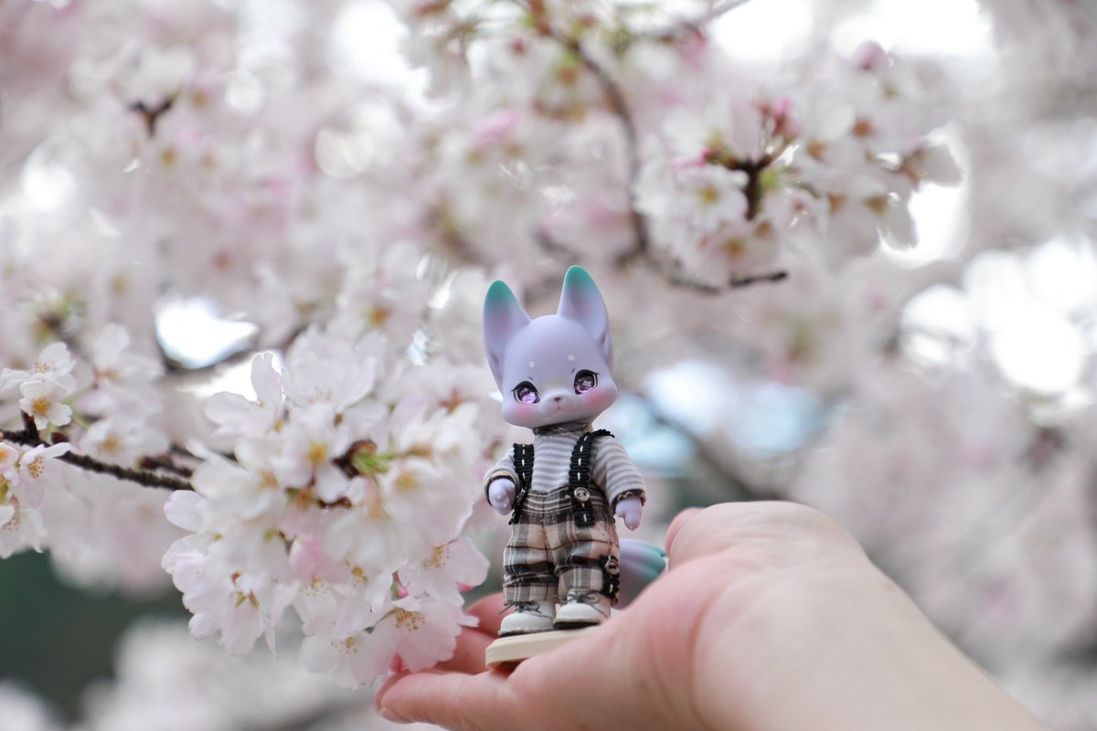 kazumi tweet media
