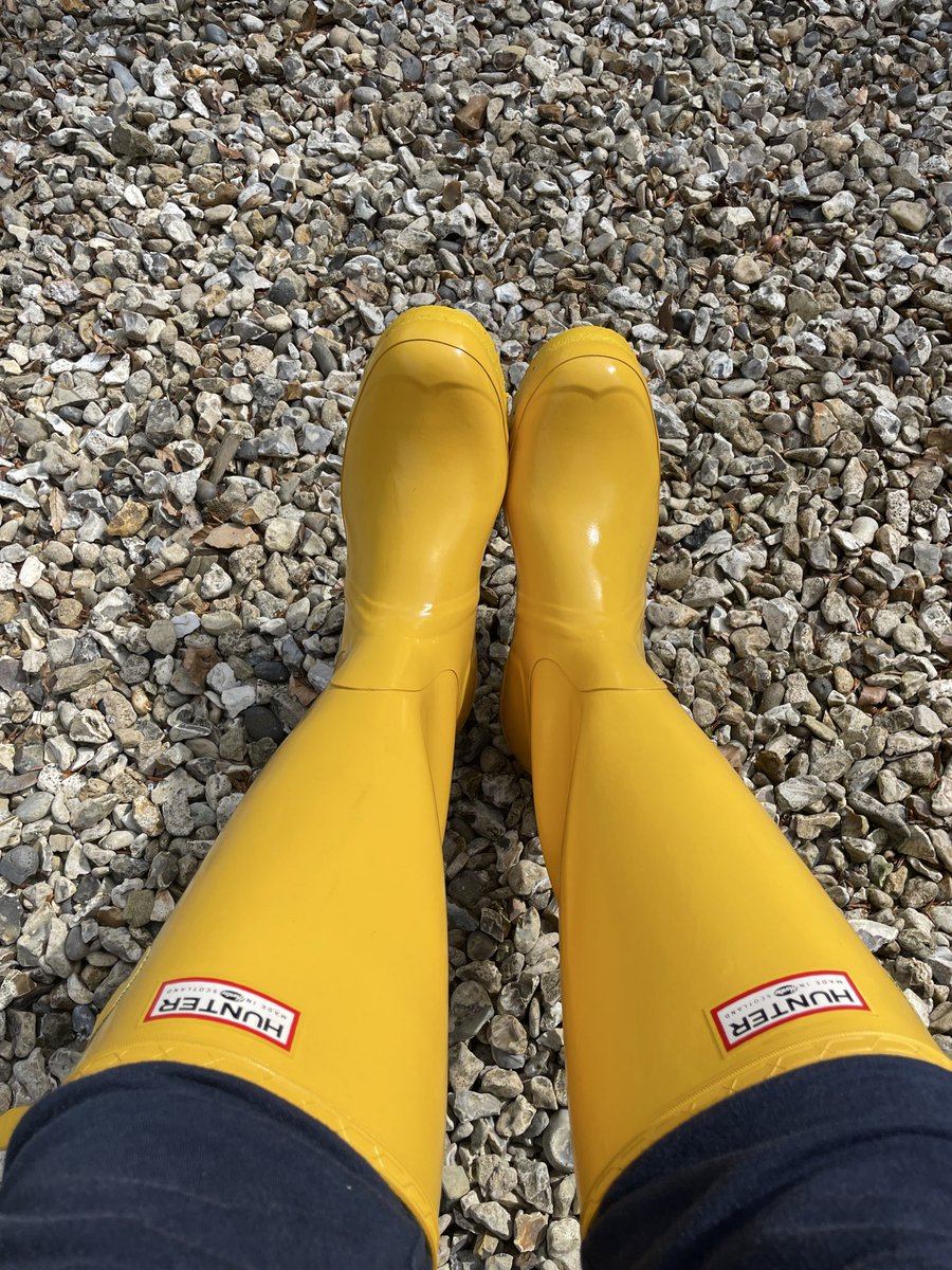 pikewilliam43 tweet media