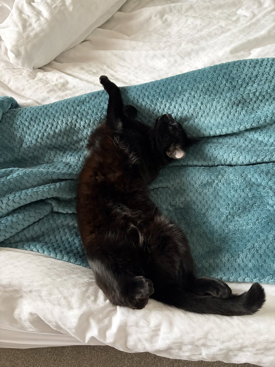 Helen Nelson tweet media