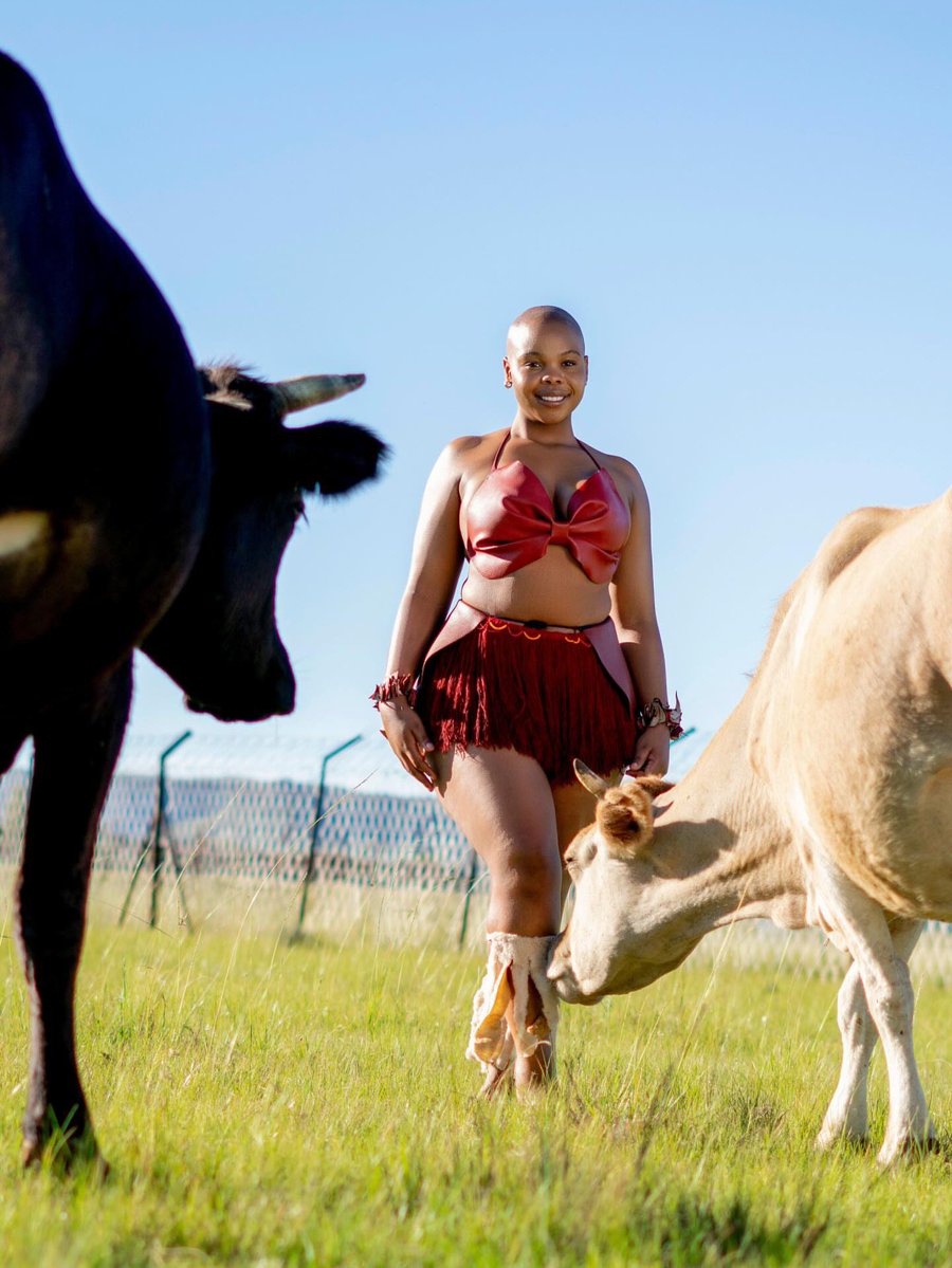 Mzilikazi wa Afrika tweet media