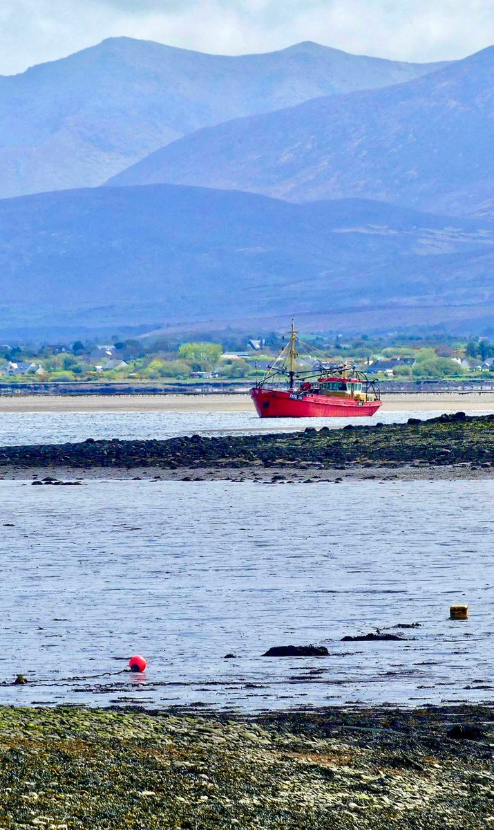 ThisIsIreland3's tweet image. A fishing vessel at Cromane, with the McGillycuddy Reeks in the background 🌊⛰️

📍 County Kerry - Ireland ☘️

📸 Bridget Gleeson Healy

#Ireland #Kerry #Cromane #McGillycuddyReeks