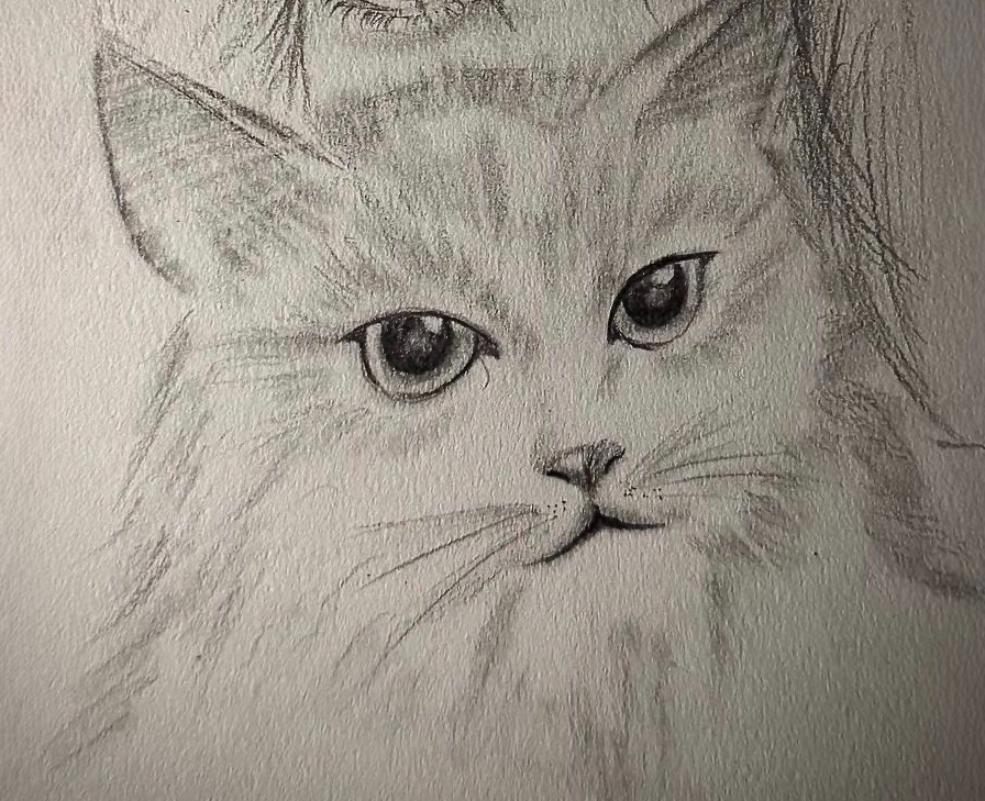 𝙽𝙰 tweet media