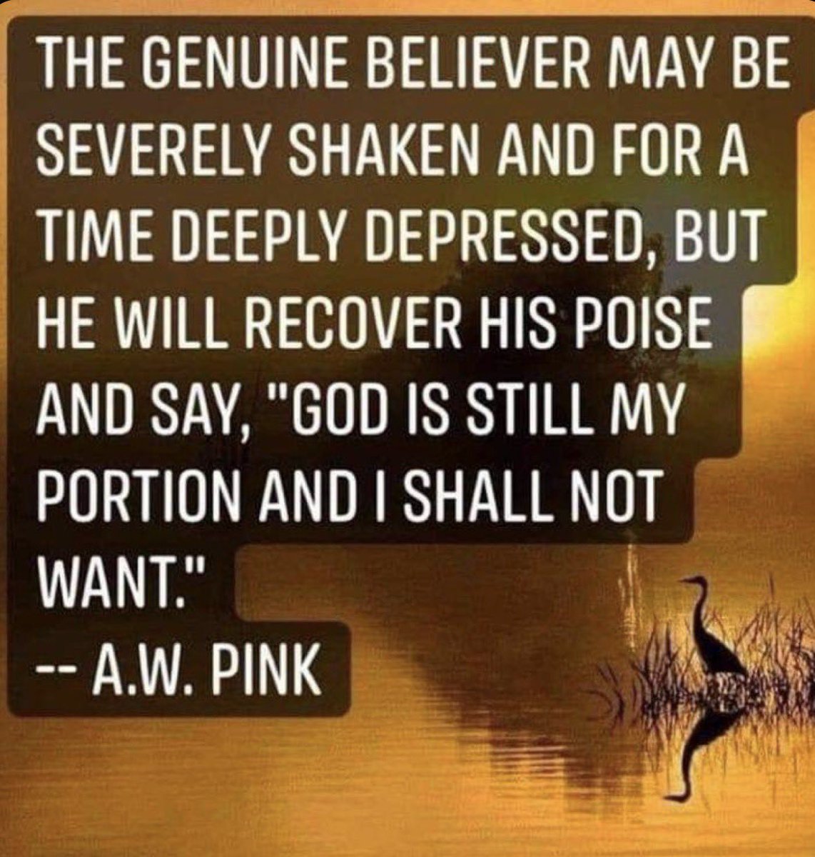 🌷 LIZZIE🌷 tweet media