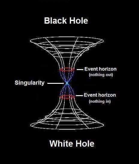 io - ✨ tweet media