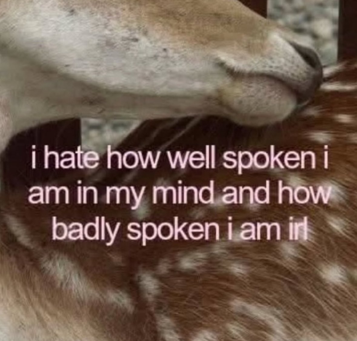 ✧ (@northstardoll) on Twitter photo 