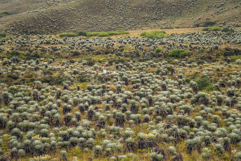 David Adams tweet media