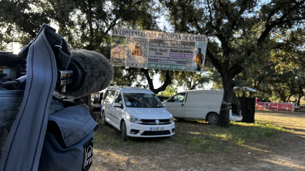 Lances Canal Sur TV tweet media